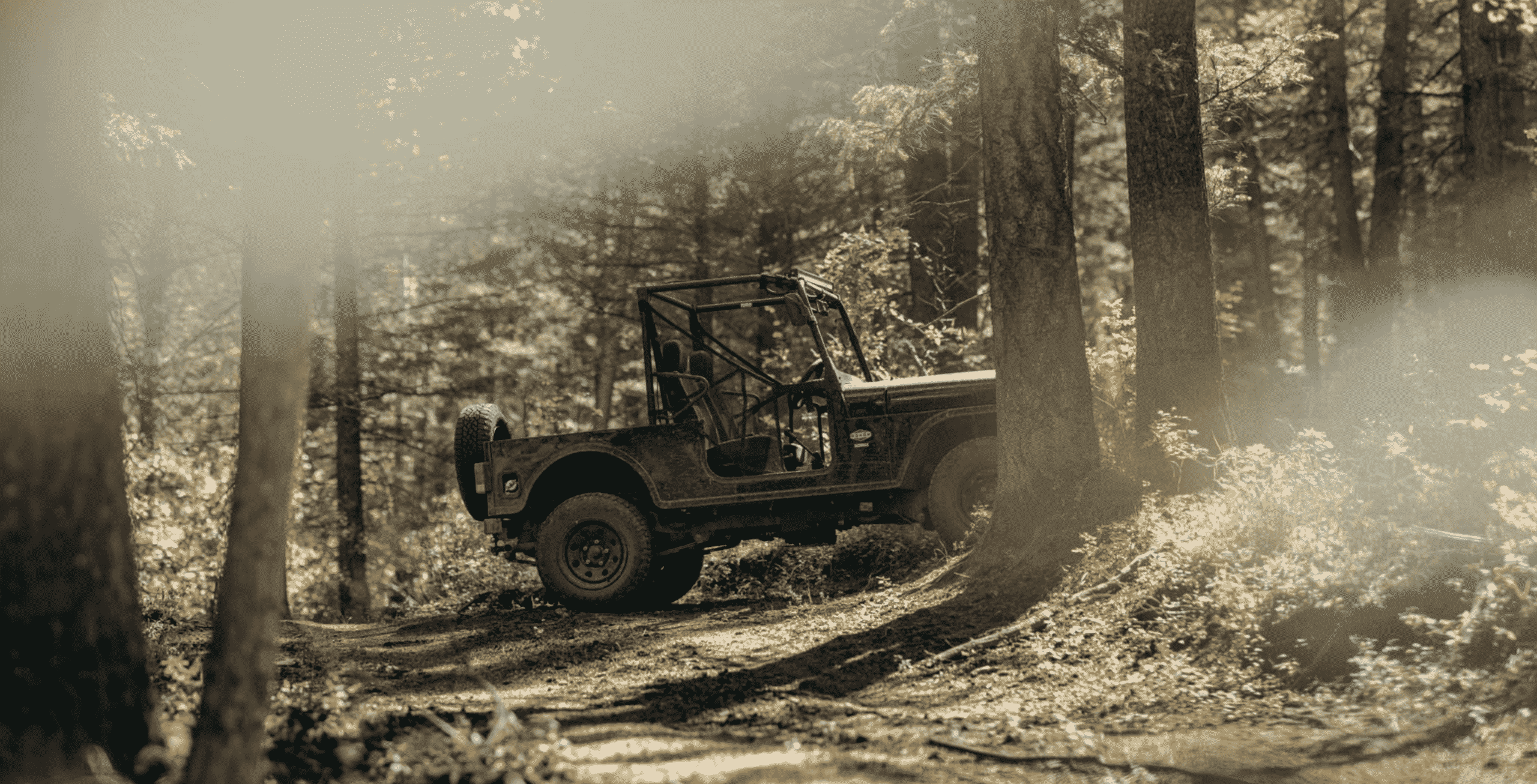 ROXOR Side-By-Side 2024 (Base Model) 11 ROXOR Side-By-Side 2024 (Base Model) - Image 11