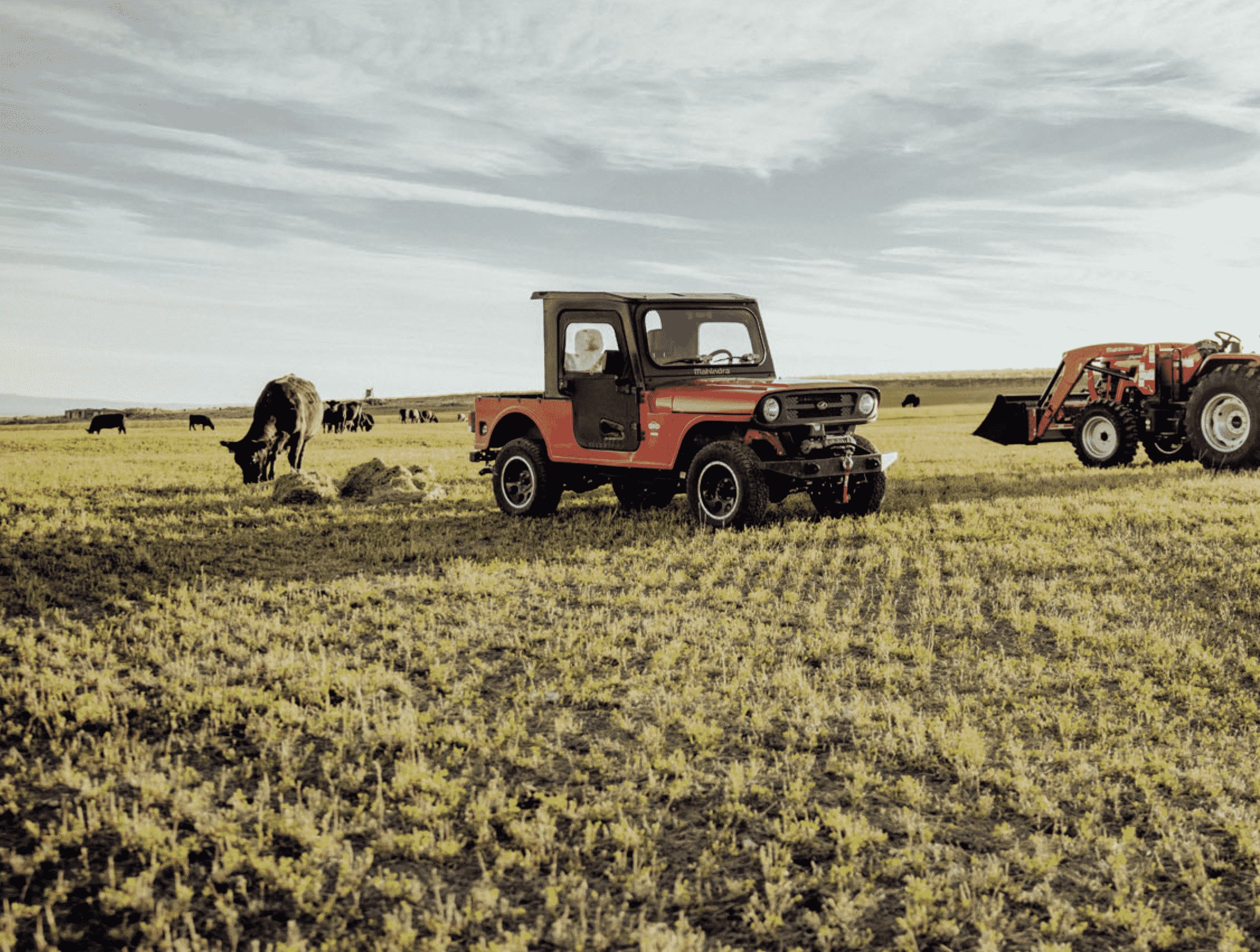 ROXOR Side-By-Side 2024 (Base Model) 12 ROXOR Side-By-Side 2024 (Base Model) - Image 12